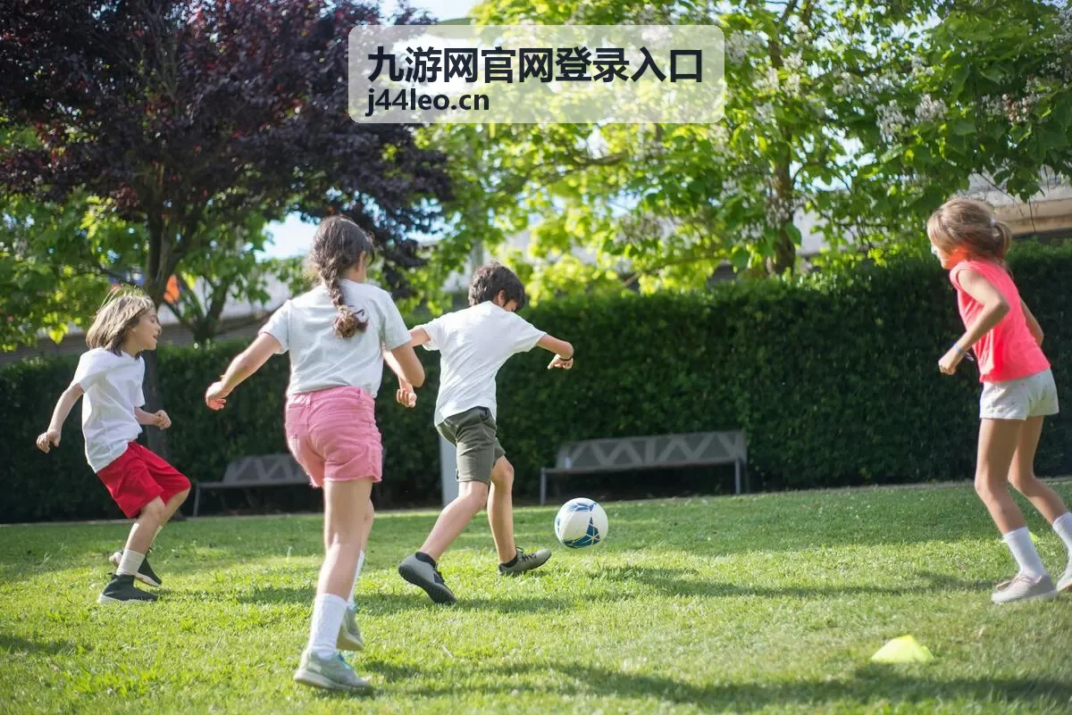 九游网官网登录入口操作画面示意