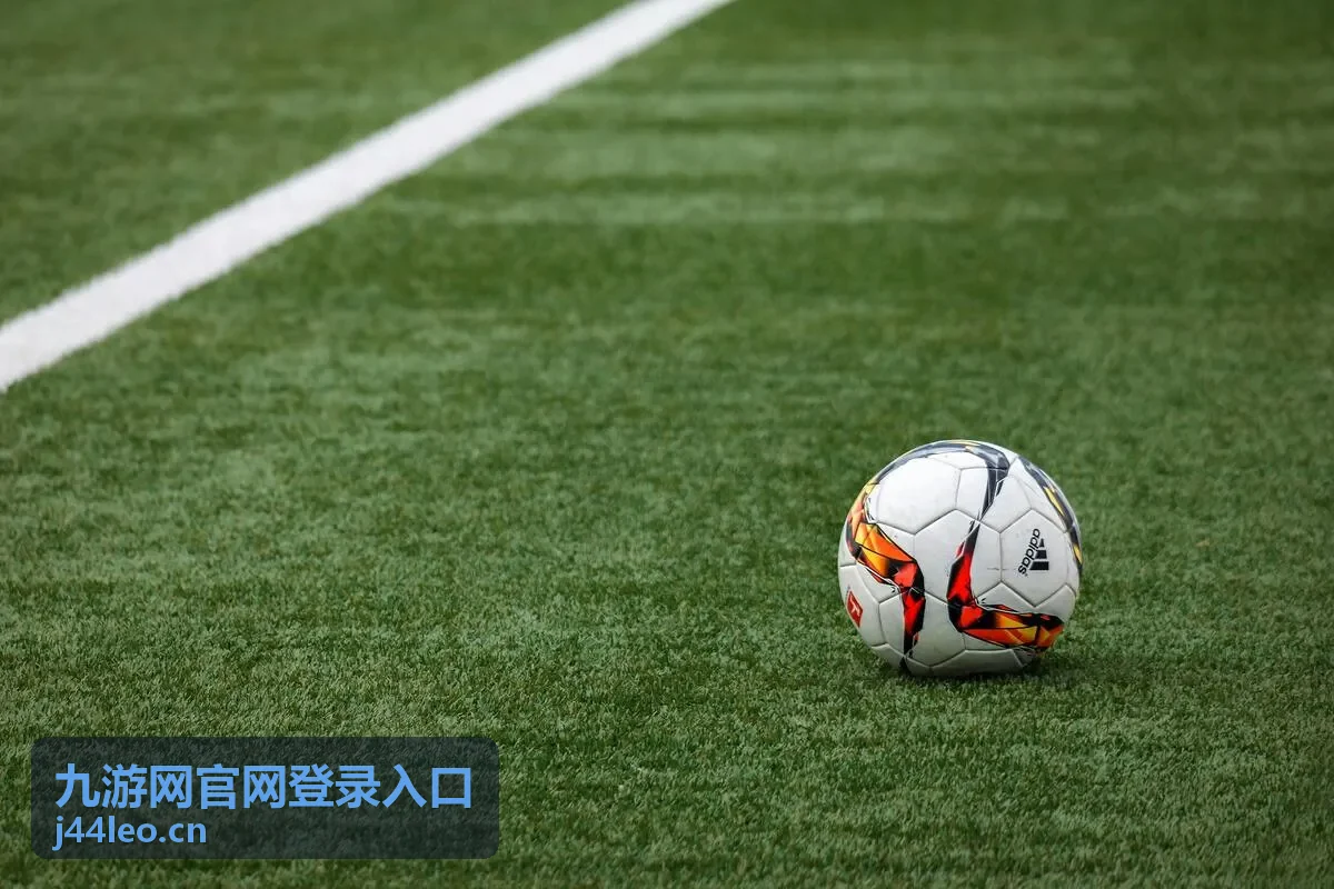 九游网官网登录入口验证码收不到的处理