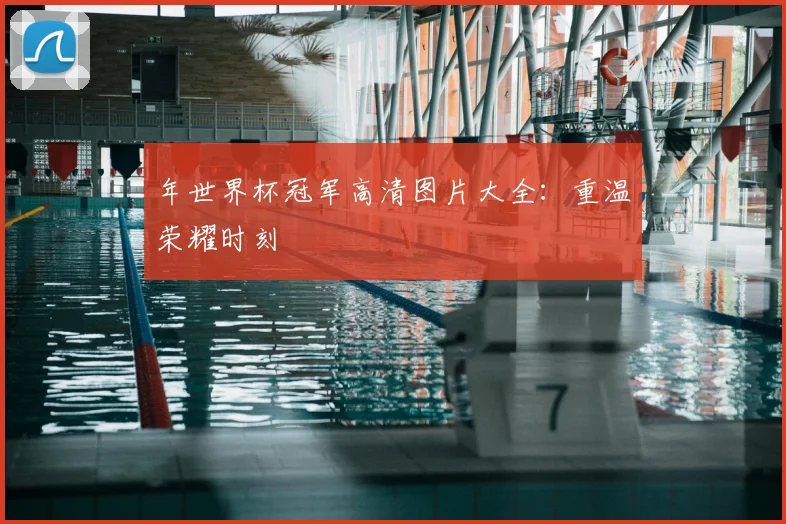 年世界杯冠军高清图片大全：重温荣耀时刻