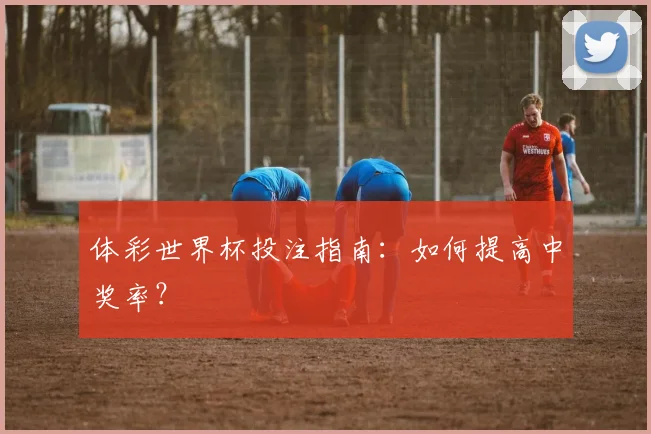 体彩世界杯投注指南：如何提高中奖率？