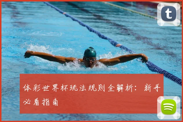 体彩世界杯玩法规则全解析：新手必看指南