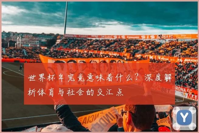 世界杯年究竟意味着什么？深度解析体育与社会的交汇点