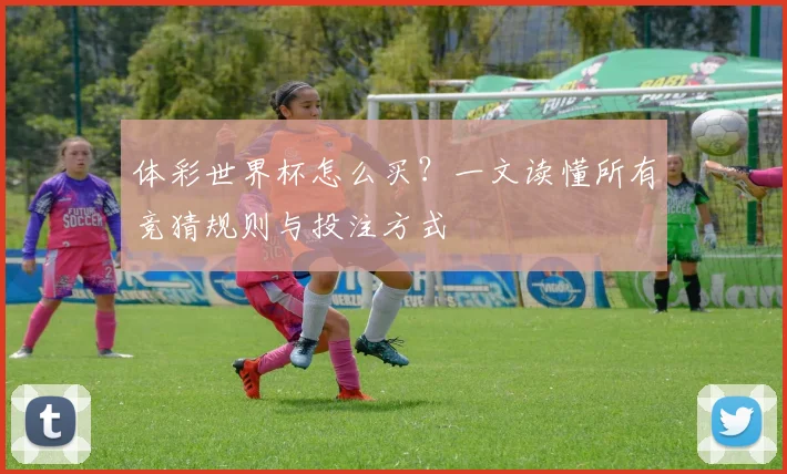 体彩世界杯怎么买？一文读懂所有竞猜规则与投注方式
