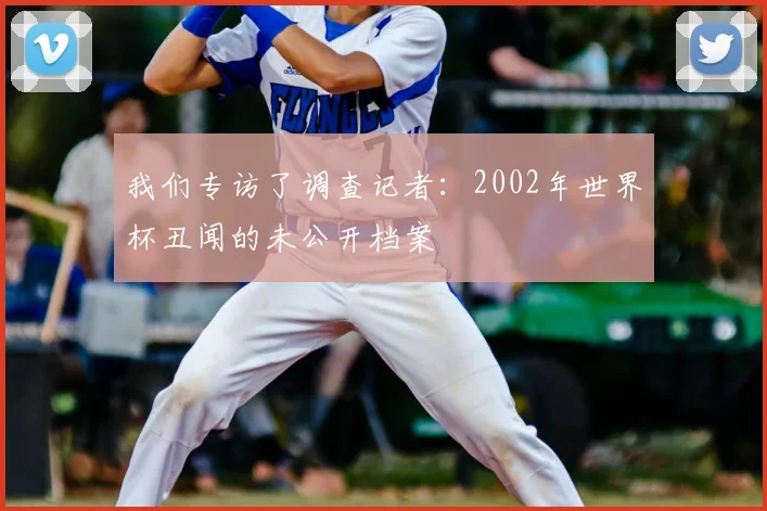 我们专访了调查记者：2002年世界杯丑闻的未公开档案