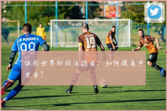 体彩世界杯投注指南：如何提高中奖率？