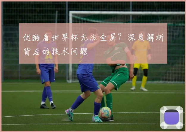 优酷看世界杯无法全屏？深度解析背后的技术问题