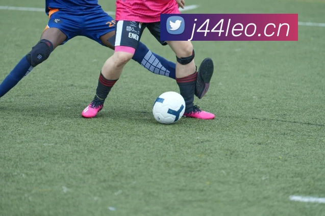 星空体育官方在线观看平台生态图