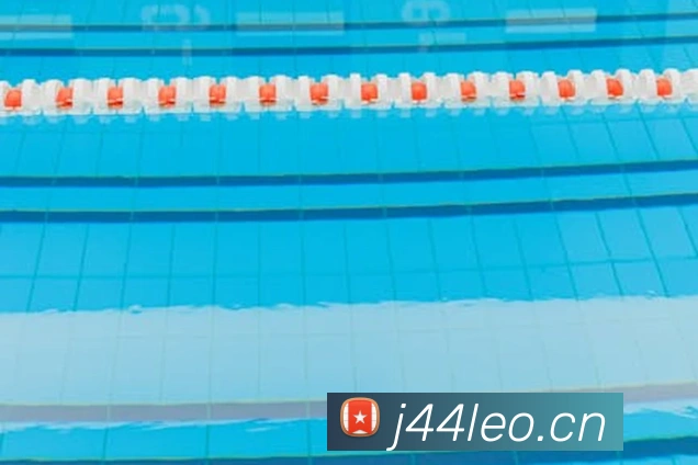 星空体育官方在线观看APP 封面图